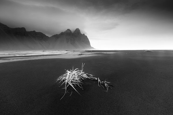 Photograph Antonio Aliaga Ibarra Alone on One Eyeland
